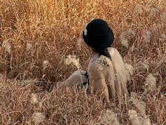 -汉长安城未央宫国家考古遗址公园