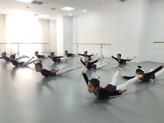 -西安小天鹅艺术团(金花路校区)