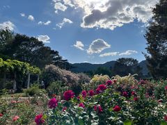 -国家植物园南园