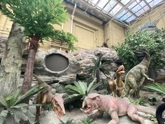 -国家自然博物馆