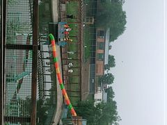 -北京鹿世界主题园