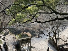 -苏州园林博物馆
