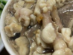 -广达眼镜炖罐(广达店)