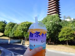 -牛首山文化旅游区