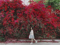 -厦门国家会计学院