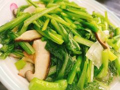 -靖远尕六美味羊羔肉