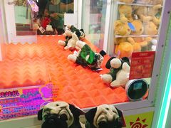 -汤姆熊欢乐世界(光启城店)