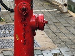 -华中科技大学同济医学院附属同济医院(汉口院区)