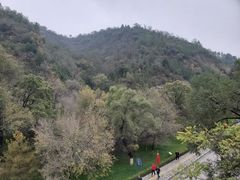 -延安杨家岭革命旧址