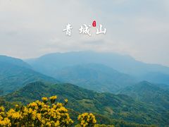 -青城山