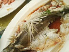 -广州花之恋城堡酒店