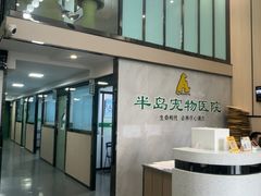 -半岛宠物医院24小时(科华中路店)
