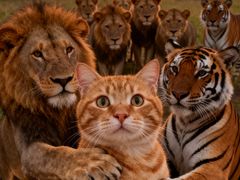 -杭州市上城区湖滨街道社区卫生服务中心