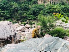 -河南宝泉旅游区