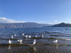 -丽江泸沽湖景区