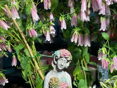 -双季花艺园艺市场(浦东店)