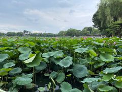 -西海子公园