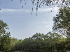 -北坞公园