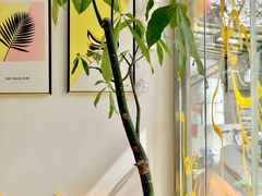 -五进制 Coffee Shop