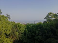 -南山植物园