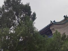 -宝莲寺