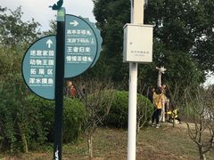 -中国扬子鳄村