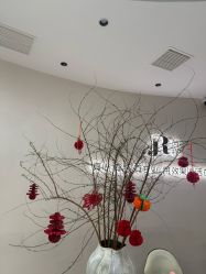 -V Charm芮槿肌肤管理