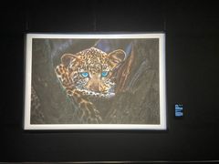 -罗红摄影艺术馆