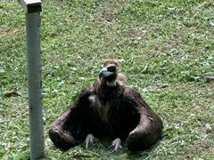 -西霞口神雕山野生动物世界