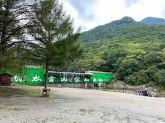 -龙道沟景区