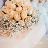 恭喜恭喜为爱一生求婚策划公司 绍兴店即将开业了[糖果][糖果][糖果]