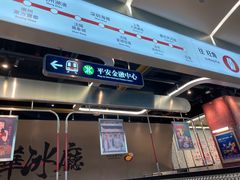 -敏华冰厅(平安金融中心店)