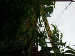 android_upload_pic-北京欢乐谷