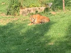 -北京野生动物园