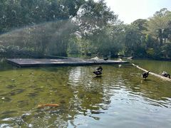 -海南热带野生动植物园