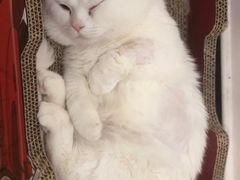 -美联众合24小时·皮肤科·外科·全科诊疗中心(华苑分院)