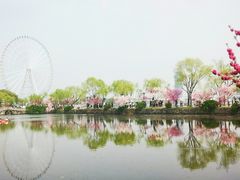 -无锡蠡湖国家湿地公园-蠡园