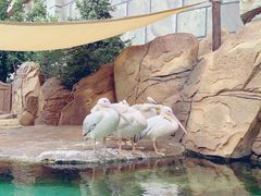 -波塞冬海底世界