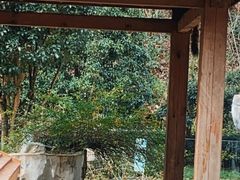 -黔灵山公园