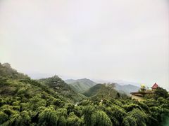 -莫干山风景区