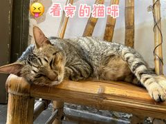 -郑厨私房菜