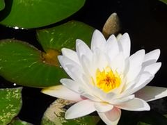 -怀来官厅水库