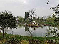 -鹅湖玫瑰文化园