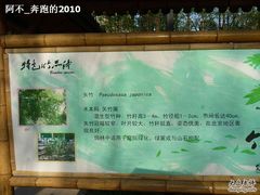-紫竹院公园冰场