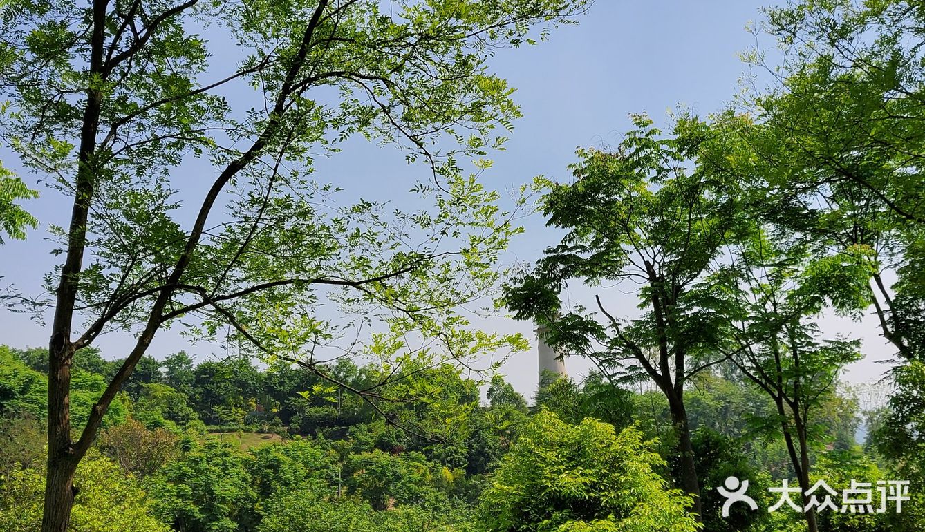 重庆小垦丁