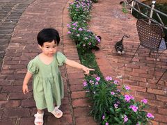 -侯臣咖啡文化村