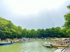 -上海海湾国家森林公园