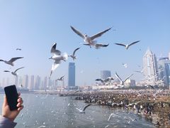 -栈桥景区