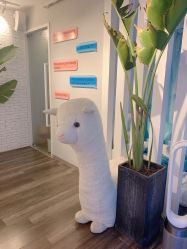 -V Beautique妆颜美学体验馆