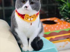 -大碗先生(万家丽店)